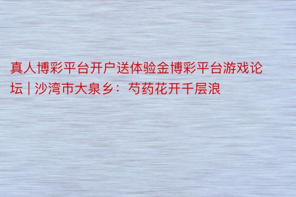 真人博彩平台开户送体验金博彩平台游戏论坛 | 沙湾市大泉乡：芍药花开千层浪